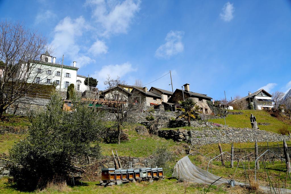 卡萨都斯卡住宿加早餐旅馆 Verdabbio 外观 照片